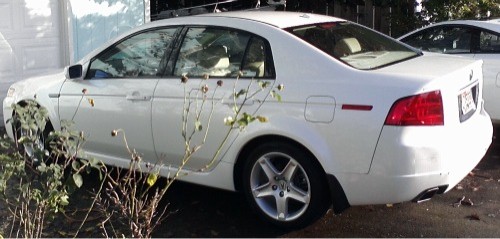 Acura tl after cut and polish